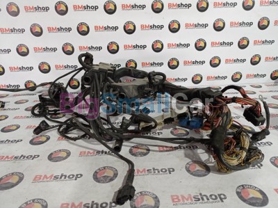 Проводка мотора BMW X5E70 2007 E70 N62N - купить Челябинске