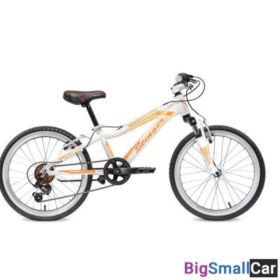 Дорожный велосипед STINGER 20AHV.FIONA.10WH8 - купить Челябинске