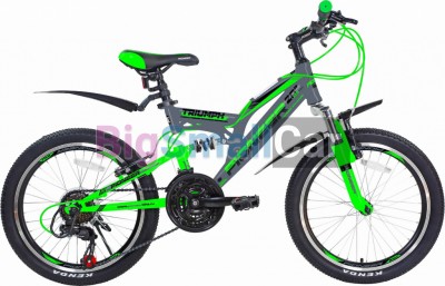 Дорожные велосипеды PIONEER TRIUMPH 20/13 gray-green-black - купить Челябинске